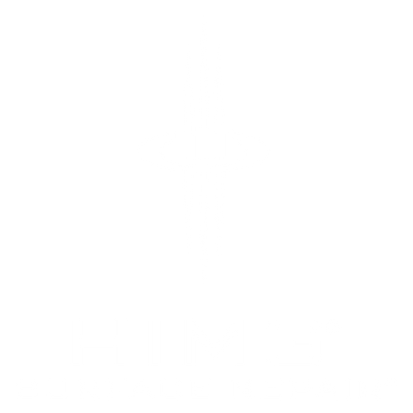 HIMG Surface Repair DE